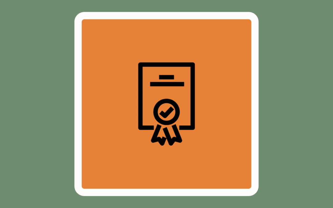 Heavy-Duty Stairlifts vs Standard Stairlifts