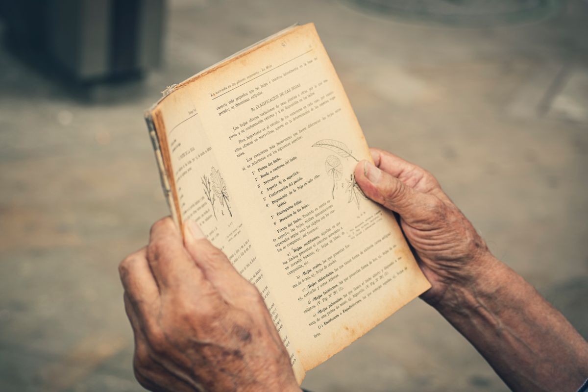 Close-up of the hands of an older person