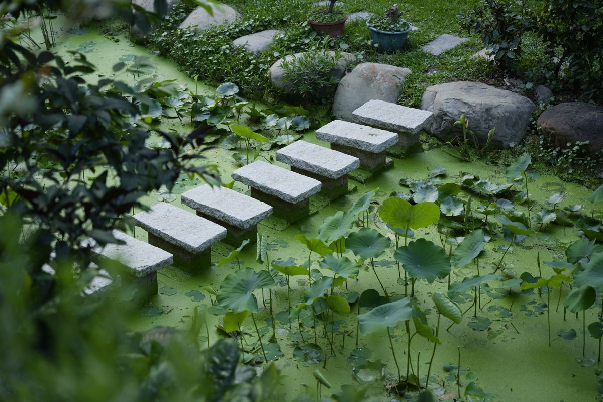 Stone steps on a garden path
